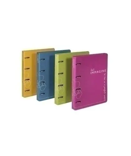 CARPETA CARCHIVO IMM. A4 2 AN.25 SURTIDO - Pack de 10 unidades