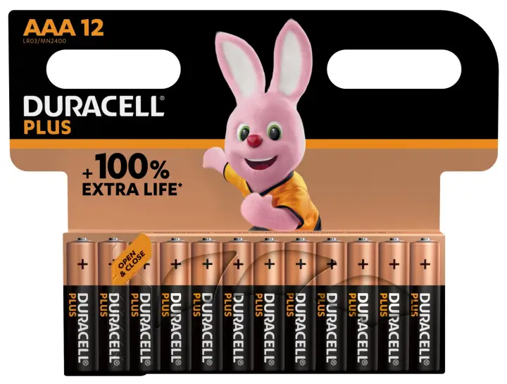 PLUS AAA Batería de un solo uso Alcalino