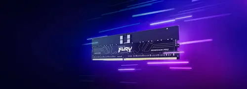 FURY 32GB 5600MT/s DDR5 ECC Reg CL28 DIMM Renegade Pro EXPO - Imagen 9