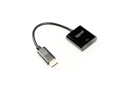 IGG318041 adaptador de cable de vídeo 0,25 m DisplayPort HDMI Negro - Imagen 4
