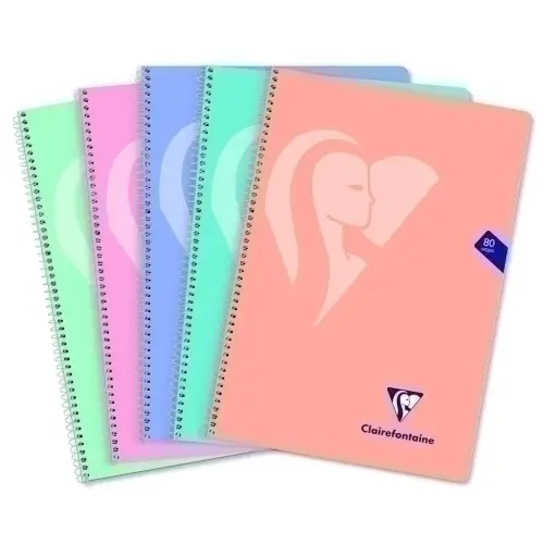 BLOCK CLAIREFONTAINE Fº 80h 4x4 90g PAST - Pack de 20 unidades