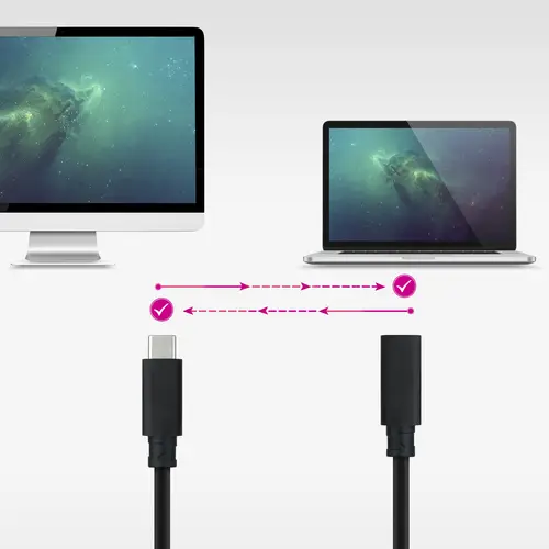 10.01.4500 cable USB USB 3.2 Gen 2x2 0,5 m USB C Negro - Imagen 4