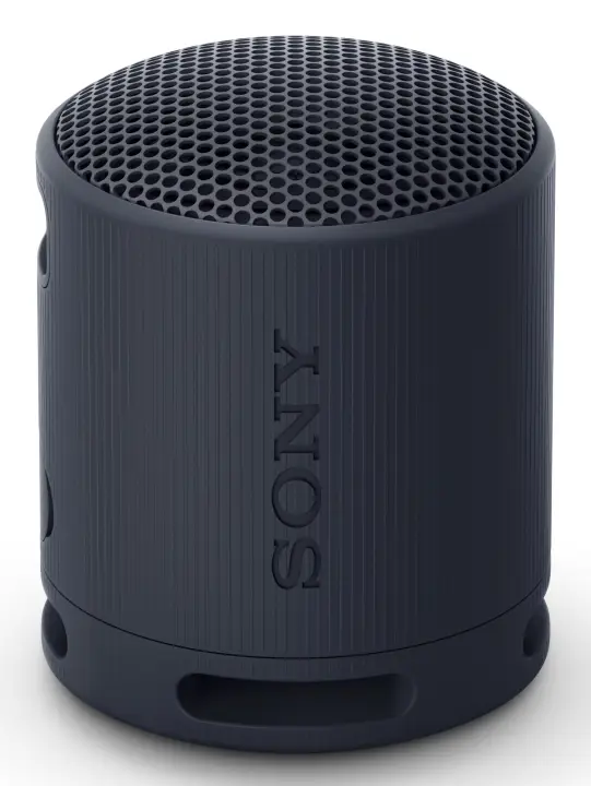 SRS-XB100 Altavoz monofónico portátil Negro