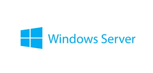 Windows Server 2019 Licencia de acceso de cliente (CAL) 1 licenci..