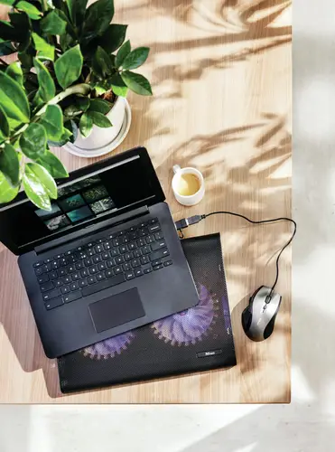 20104 almohadilla fría 43,9 cm (17.3") Negro - Imagen 4