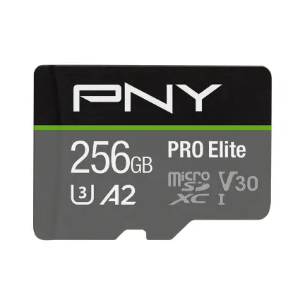 P-SDU256V32100PRO-GE memoria flash 256 GB MicroSDXC UHS-I Clase 10