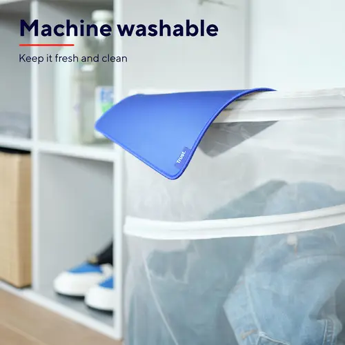 Boye Azul - Imagen 4