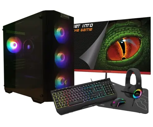 AMD Ryzen 5 4650G/32GB/1 Tb NVMe/Monitor 24 Ordenador GamingPC