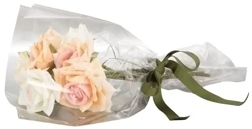 PAPEL REGALO COLIBRI 30x30 TRANSPARENTE