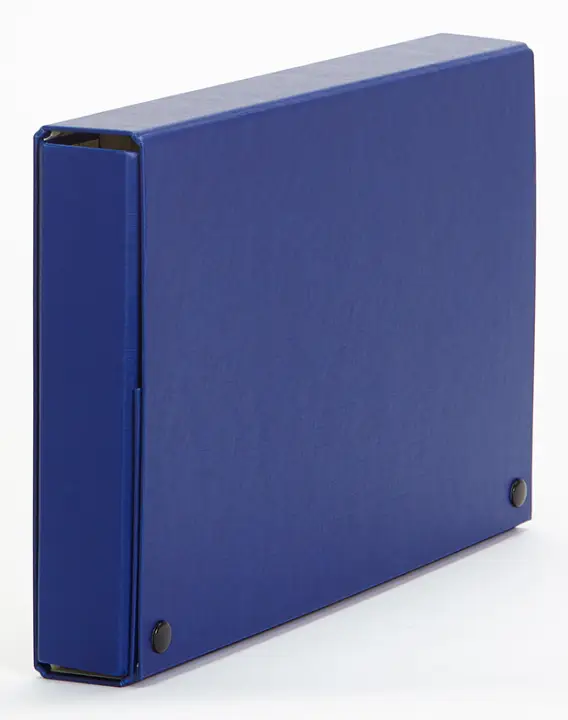 967003 archivador organizador Cloruro de polivinilo (PVC) Azul