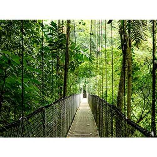 EliteBook 6 G1i 14 inch Notebook AI PC Wolf Pro Security Edition Intel Core Ultra 7 255U Portátil 35,6 cm (14") WUXGA 16 GB DDR5-SDRAM 512 GB SSD Wi-Fi 7 (802.11be) Windows 11 Pro Plata - Imagen 12