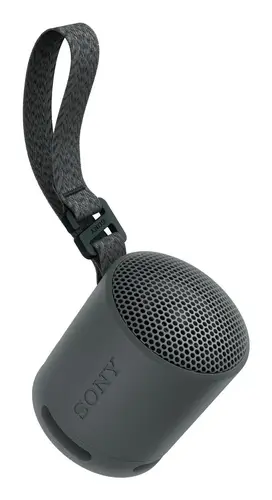 SRS-XB100 Altavoz monofónico portátil Negro - Imagen 2