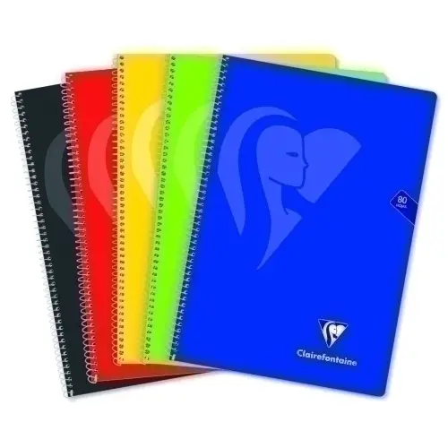 BLOCK CLAIREFONTAINE Fº 80h 4x4 90g VIVO - Pack de 20 unidades