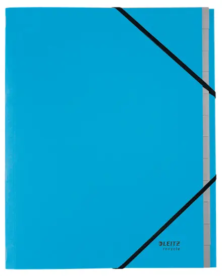 39150035 divisor Cartón Azul 1 pieza(s)