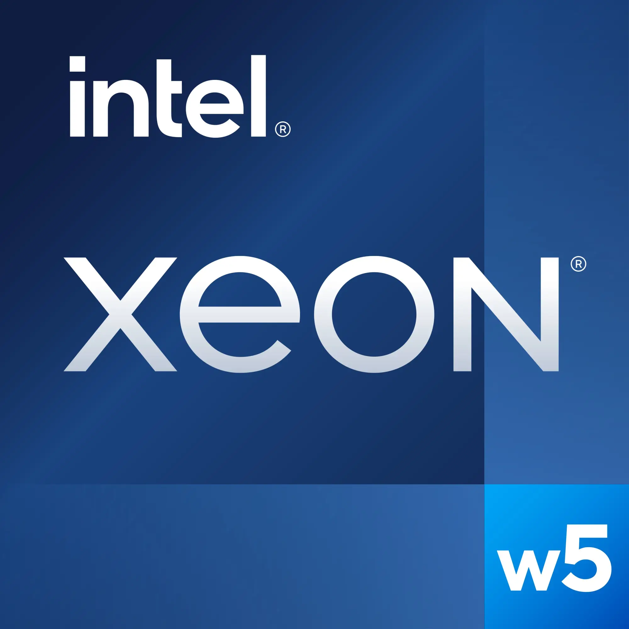 Xeon w5-3435X procesador 3,1 GHz 45 MB Smart Cache Bandeja