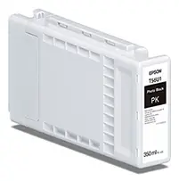 UltraChrome Pro10 cartucho de tinta 1 pieza(s) Original Foto negro