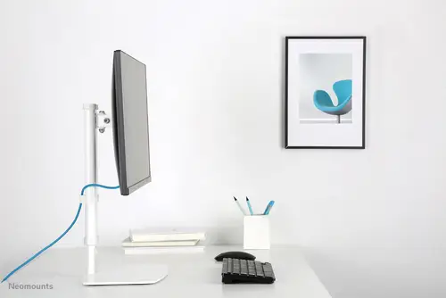 FPMA-D890WHITE Soporte para monitor 10-30" - Imagen 7