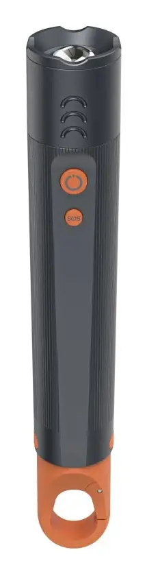 FLX600 Gris Linterna de mano LED