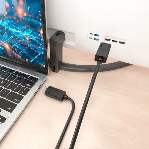 Cable DisplayPort CCS V1.4 8K@60Hz, DP/M-DP/M, Negro, 5.0m - Imagen 4