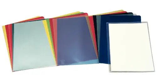 46024 protector de hojas Folio Cloruro de polivinilo (PVC) 100 pieza(s) - Imagen 1