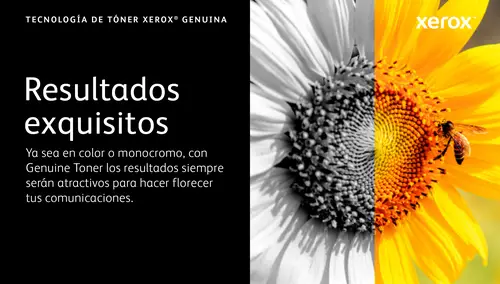 VersaLink C620 Cartucho de tóner negro de alta capacidad (20 000 páginas) - Imagen 9