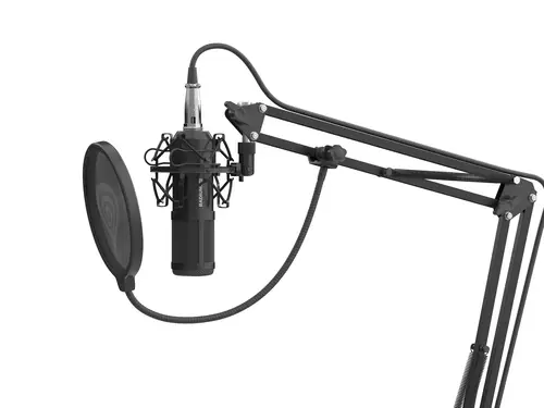 Radium 300 XLR Negro Micrófono de estudio - Imagen 9