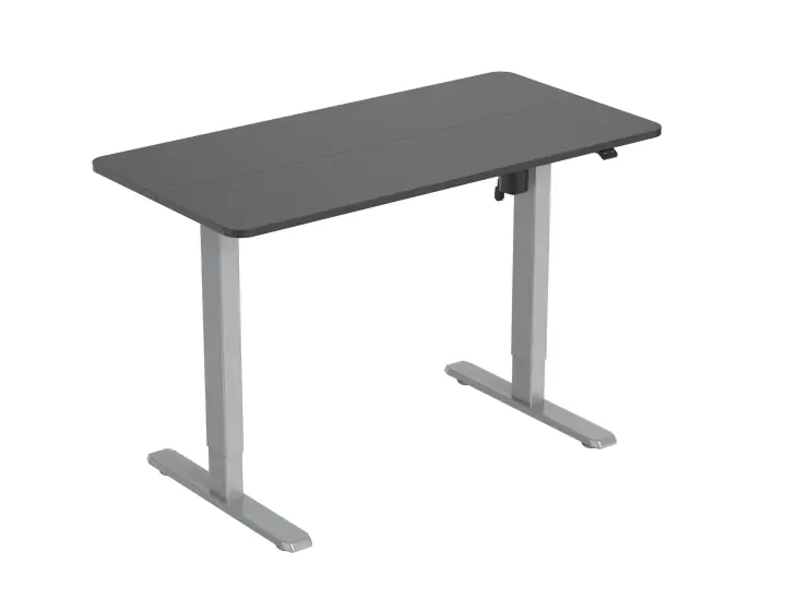 ERGO Bipedestador Eléctrico con Pupitre, Gris