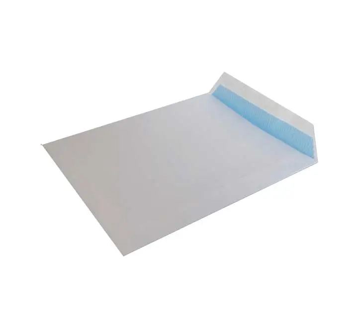 C. 250 BOLSAS SAM 100G 229X324 BLANCO I.POSTAL