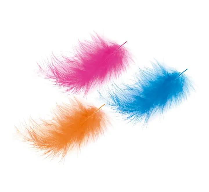 B.120U PLUMAS COLLAGE NIEFENVER 10 COLORES 0900207