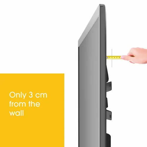 MA3000 165,1 cm (65") Negro - Imagen 4
