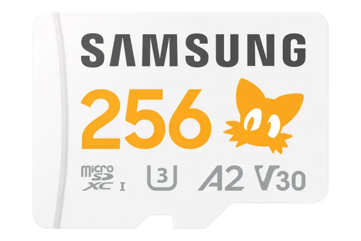 MB-MD256S 256 GB MicroSDXC UHS-I Clase 10