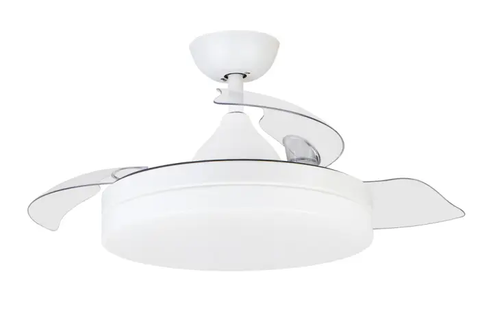 CP 122105 Blanco