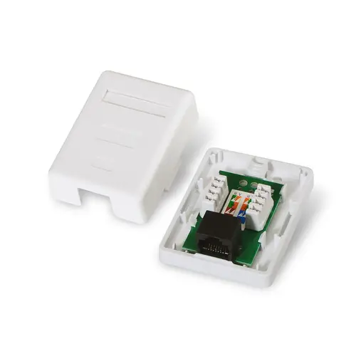 A138-0296 caja de conexiones de red Cat5e Blanco - Imagen 2