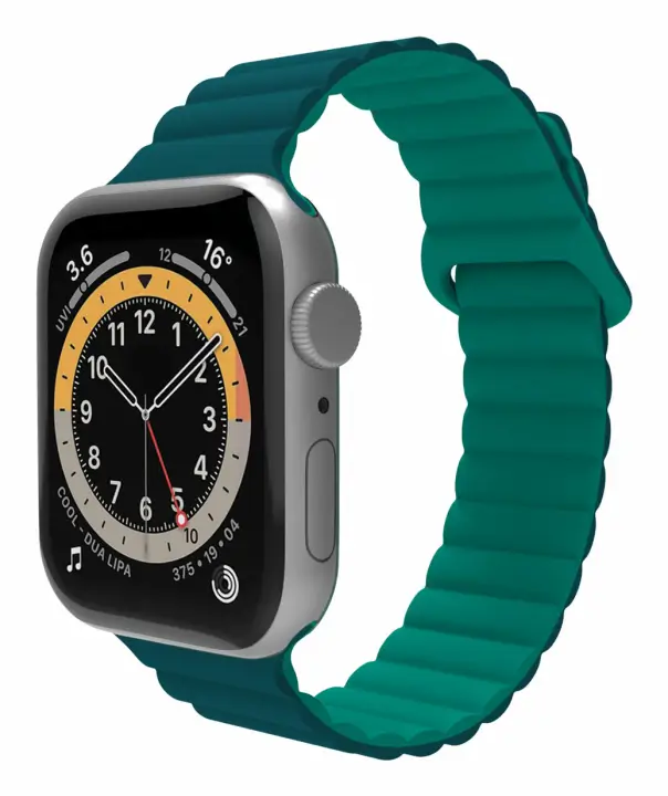 WBANDMAGGNLG pieza y accesorio para reloj Correa de reloj