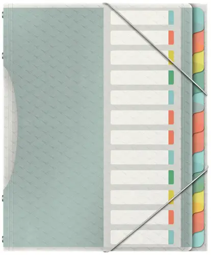626256 lengüeta de índice Separador en blanco con pestaña Polipropileno (PP) Multicolor - Imagen 1