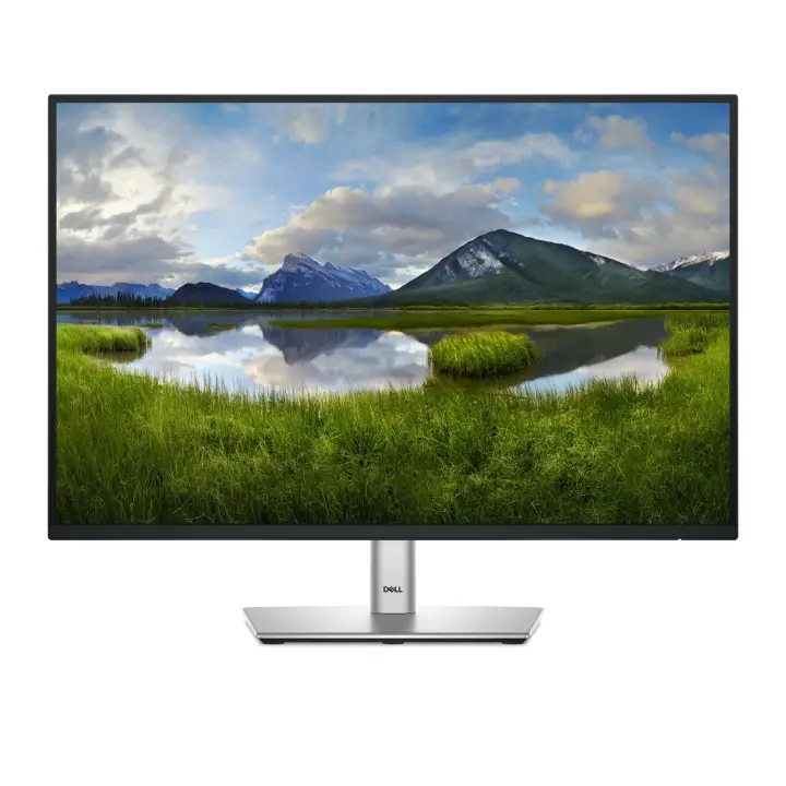 P Series P2425 pantalla para PC 61,1 cm (24.1") 1920 x 1200 Pixeles WUXGA LCD Negro