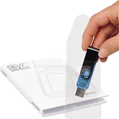3L FUND LLAVE USB + CARP ORG 4GB 10250
