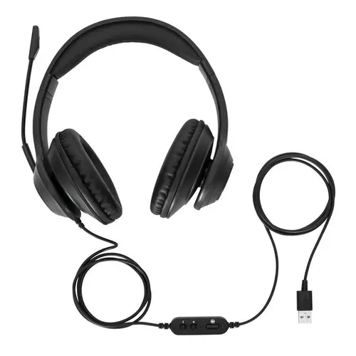 AEH102GL auricular y casco Auriculares Alámbrico Diadema Llamadas/Música USB tipo A Negro - Imagen 2