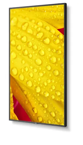 MultiSync M551-2 Diseño de quiosco 127 cm (50") LED 4K Ultra HD Negro Procesador incorporado - Imagen 10