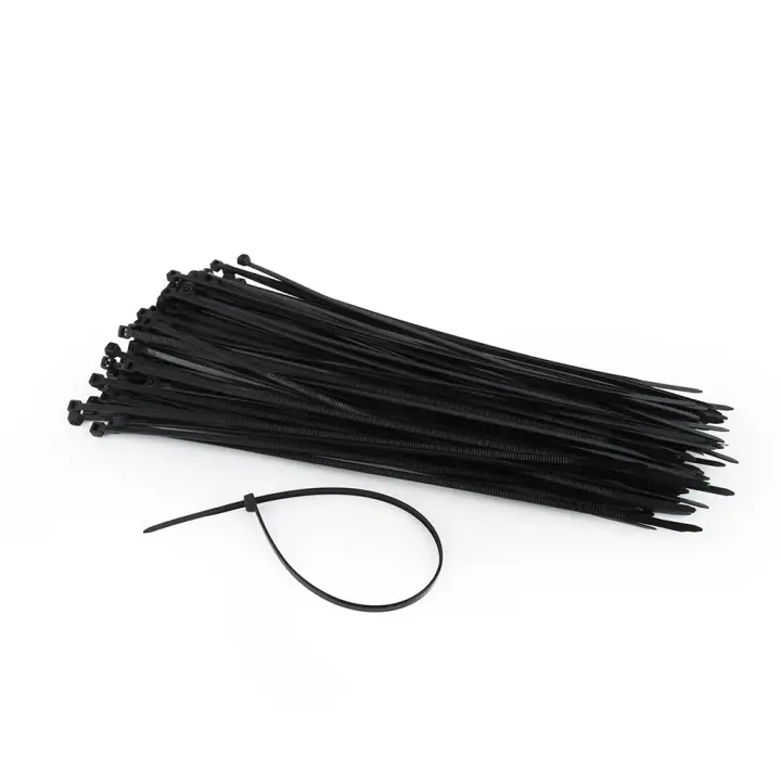 NYTFR-250X3.6 presilla Nylon Negro 100 pieza(s) - Imagen 1