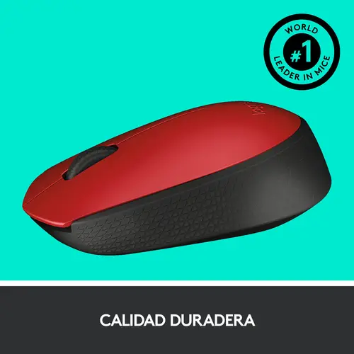M170 - Imagen 11