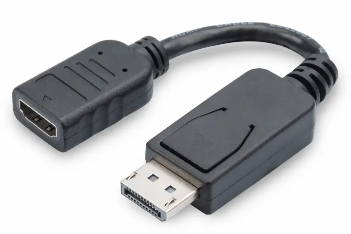 Cable adaptador DisplayPort