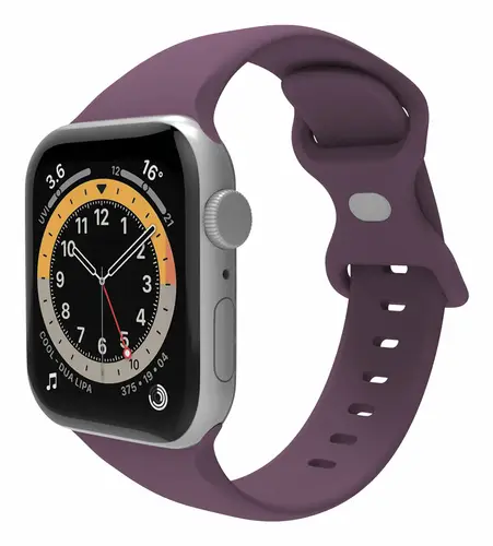 WBANDSIL40VL pieza y accesorio para reloj Correa de reloj - Imagen 1