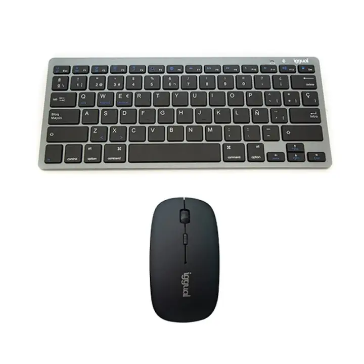 IGG316917+IGG316771 teclado Ratón incluido Bluetooth QWERTY Gris