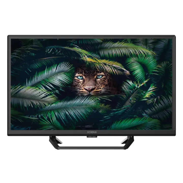 SRT 24HE4023C 61 cm (24") HD Negro 180 cd / m²