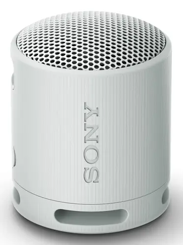 SRS-XB100 Altavoz monofónico portátil Gris - Imagen 1
