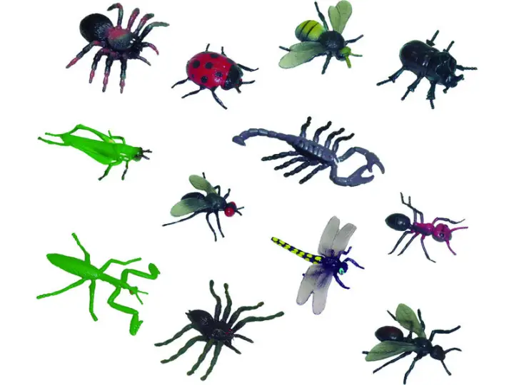 MNLBOTE  INSECTOS 12 FIG 27480