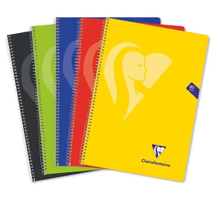 PAQ 5 CUAD ESP CLF MIMESYS Fº 4X4 T/PP 80H VIVOS - Pack de 4 unidades