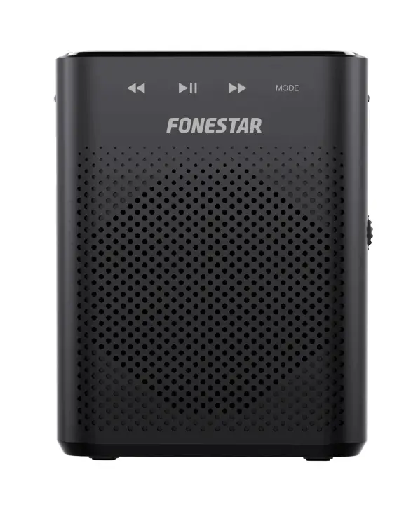 ALTA-VOZ-W30 altavoz portátil o de fiesta Altavoz portátil estéreo Negro 30 W