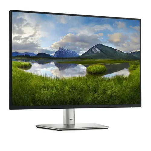 P Series P2425 pantalla para PC 61,1 cm (24.1") 1920 x 1200 Pixeles WUXGA LCD Negro - Imagen 3